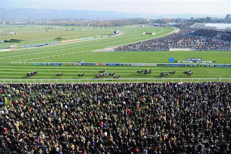 Cheltenham Runners and Cheltenham Results 2017.